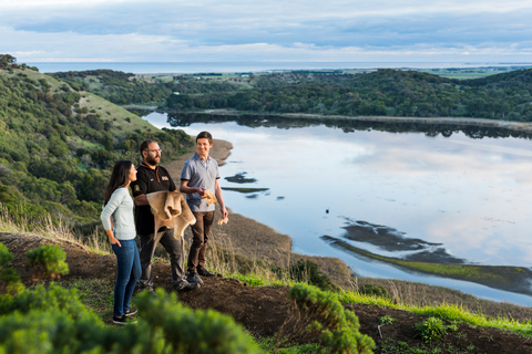 Oceans to Mountains Explorer: tour di 3 giorni sulla Great Ocean RoadViaggio di ritorno da Melbourne a Melbourne