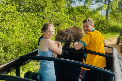 Sigiriya: Village Tour with Minneriya Jeep Safari