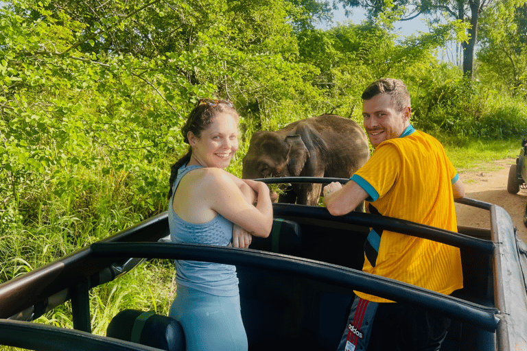 Sigiriya: Village Tour with Minneriya Jeep Safari