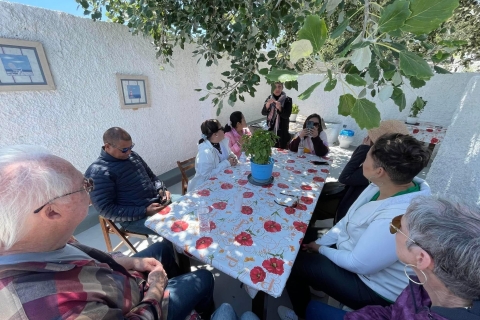 Mykonos: Entdecken Sie das authentische Mykonos-Tour