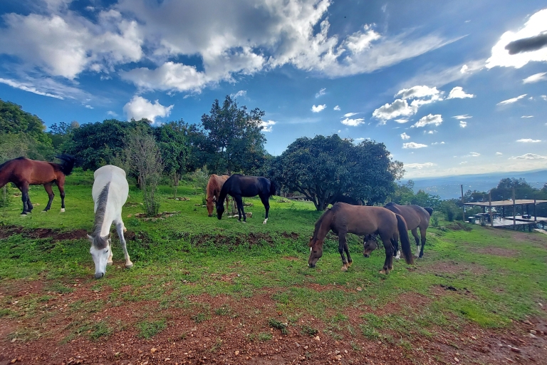 Galop gracieux, randonnée à cheval au Mont Kigali