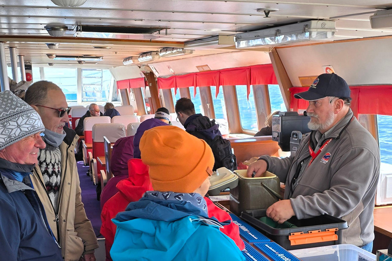 Andenes: Responsible Whale Watching with Classic Catamaran