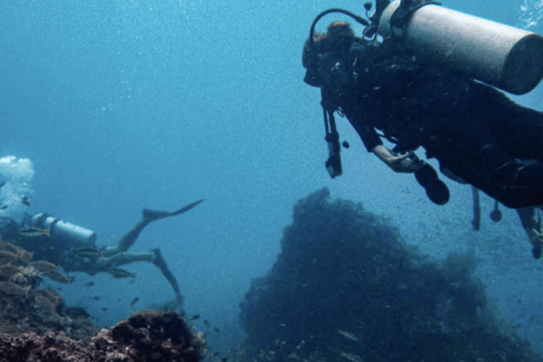 Phi Phi: Scuba diving with Portuguese speaking instructor Phi Phi Island: Scuba diving with Portuguese instructor