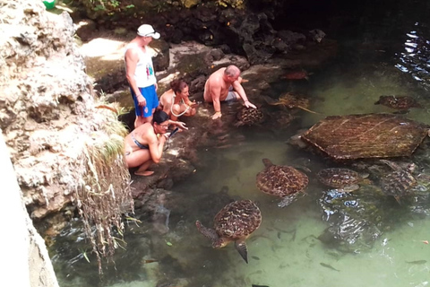 Tour por la costa norte de Zanzíbar y santuario de tortugas