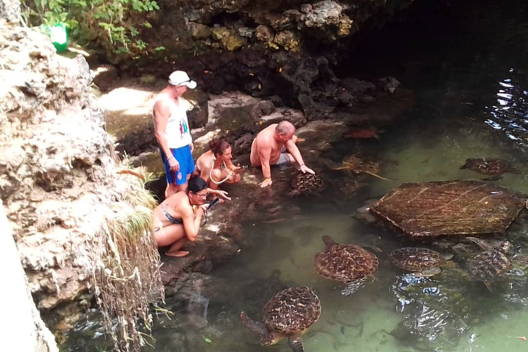 Zanzibar: wycieczka po północnym wybrzeżu i sanktuarium żółwi