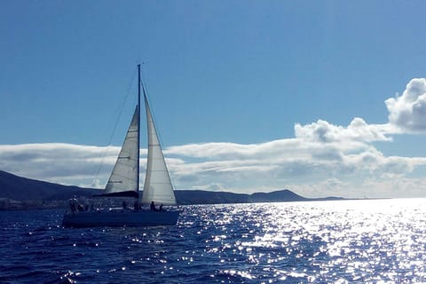 Teneriffa: Privat oder Gruppe 3 Stunden Segeltörn mit Getränken
