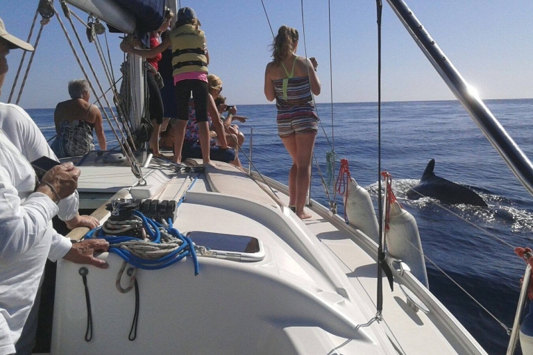 Tenerife: Private or Group 3 Hour Sailing Cruise with Drinks Public Charter