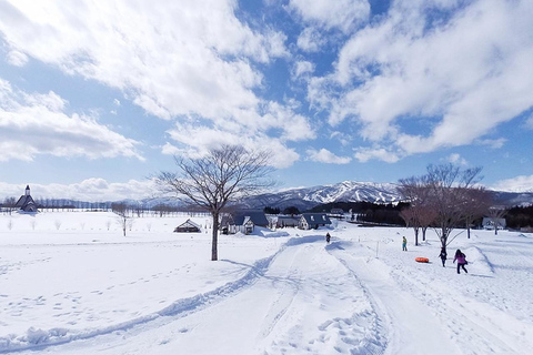 Nagoya: Gujo Hachiman, Snow Park, & Onsen Day Trip