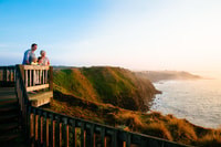 From Melbourne, Penguin Parade and Koalas Tour - Housity