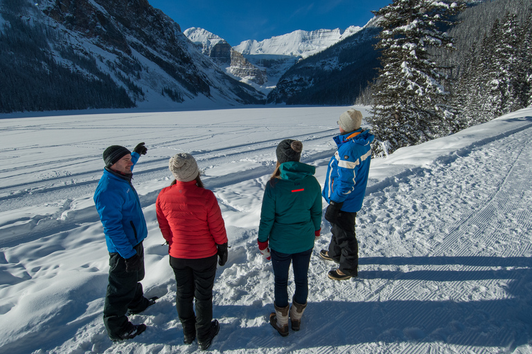 Von Banff aus: Lake Louise Halbtagestour im Winter