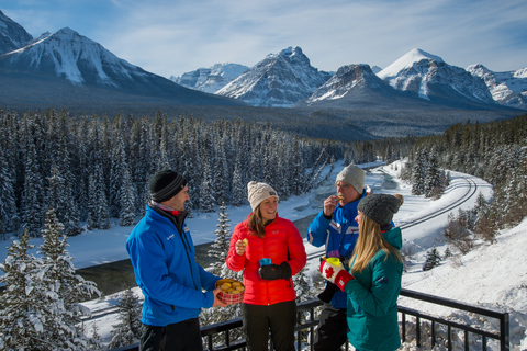 De Banff: Excursão de inverno de meio dia ao Lago LouiseDe Banff: excursão de inverno de meio dia em Lake Louise