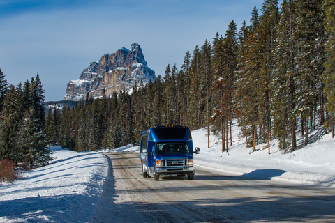 Von Banff aus: Lake Louise Halbtagestour im Winter