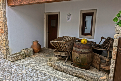 From Lisbon: Fátima and the Three Little Shepherds' House Shared Tour - 8:20 AM Pickup from Hotel Mundial