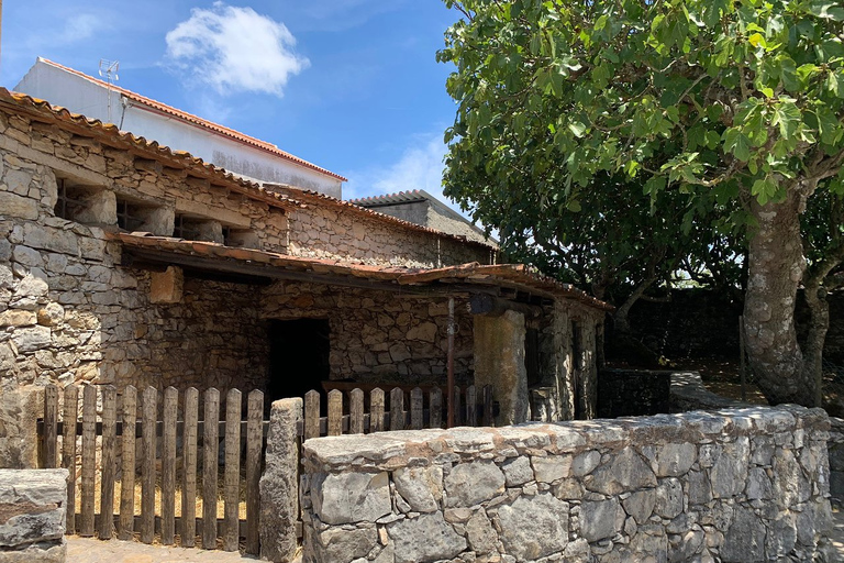 De Lisbonne: Fátima et la maison des trois petits bergersVisite partagée - Prise en charge à 8h20 de l'hôtel Mundial