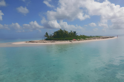 Guadeloupe: Discover the Grand Cul Sac Marin Nature Reserve Daytime boat tour of the Grand Cul Sac Marin Nature Reserve