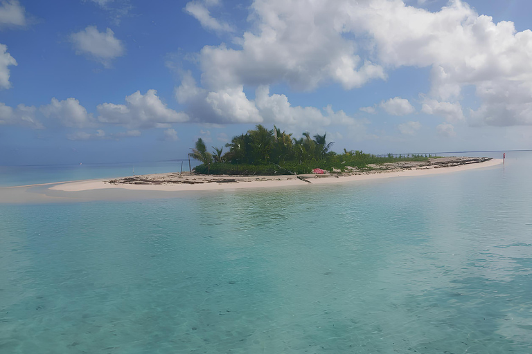 Guadeloupe: Discover the Grand Cul Sac Marin Nature Reserve Daytime boat tour of the Grand Cul Sac Marin Nature Reserve