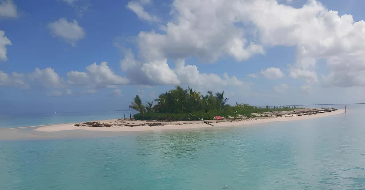 Afbeelding 3 van Guadeloupe: ontdek het natuurreservaat Grand Cul Sac Marin