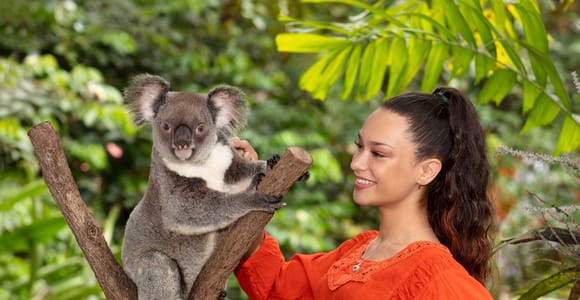 Kuranda Koala Gardens Park Entry