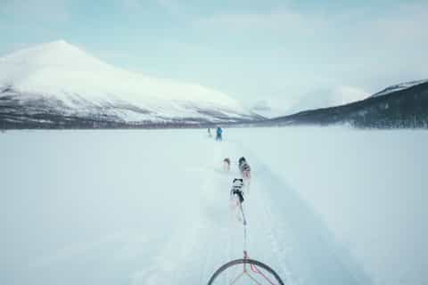 Tromsø 2022: 10 Najlepszych Wycieczek I Aktywności (ze Zdjęciami