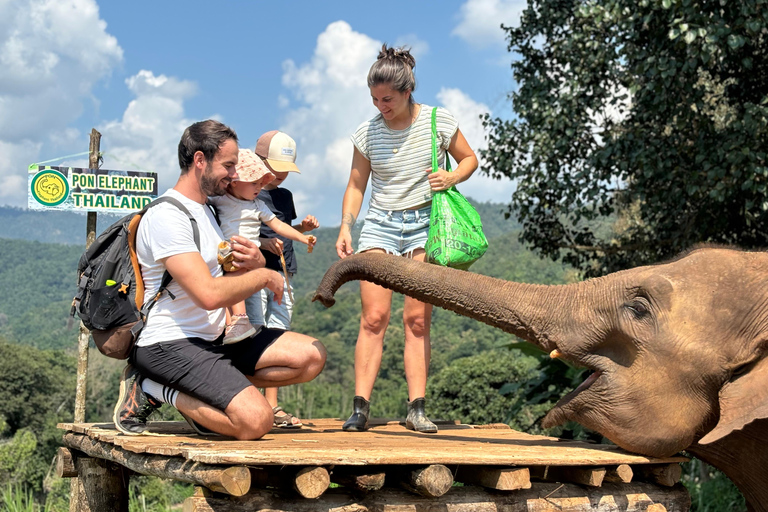 Chiang Mai 2-Day: Good Morning Elephant & Overnight Homestay