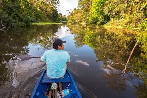 From Iquitos: 2-Day, 1-Night Jungle Excursion