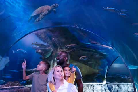 SEA LIFE Arizona Aquarium General Admission