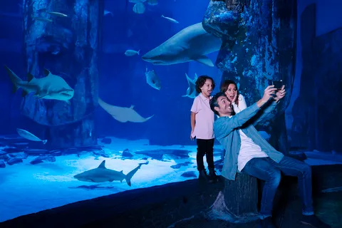 Entrada general al Acuario SEA LIFE Arizona