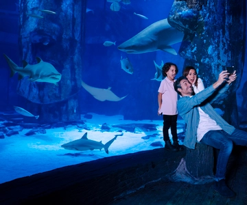 SEA LIFE Arizona Aquarium General Admission