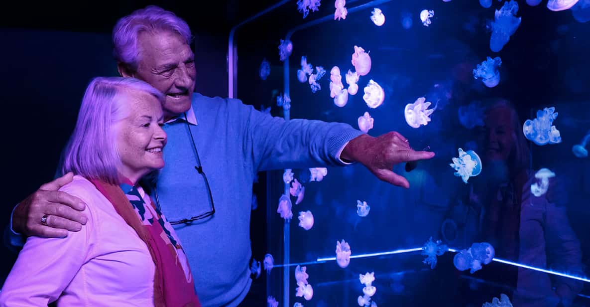 SEA LIFE Charlotte-Concord Aquarium General Admission