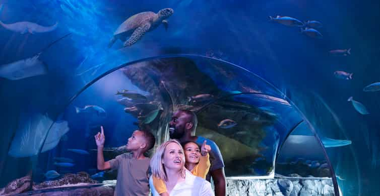 SEA LIFE Charlotte Concord Aquarium General Admission GetYourGuide