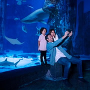 SEA LIFE Charlotte Concord Aquarium General Admission GetYourGuide   53 