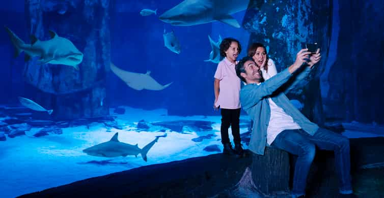 SEA LIFE Charlotte-Concord Aquarium General Admission | GetYourGuide