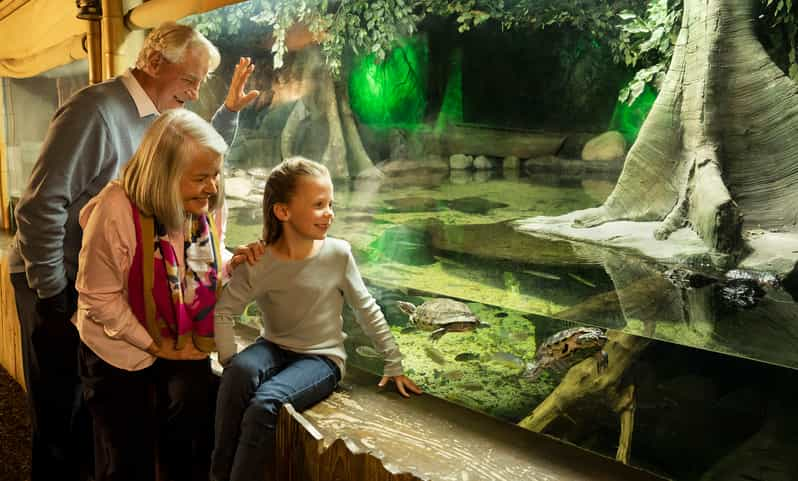 SEA LIFE Charlotte Concord Aquarium General Admission GetYourGuide   146 