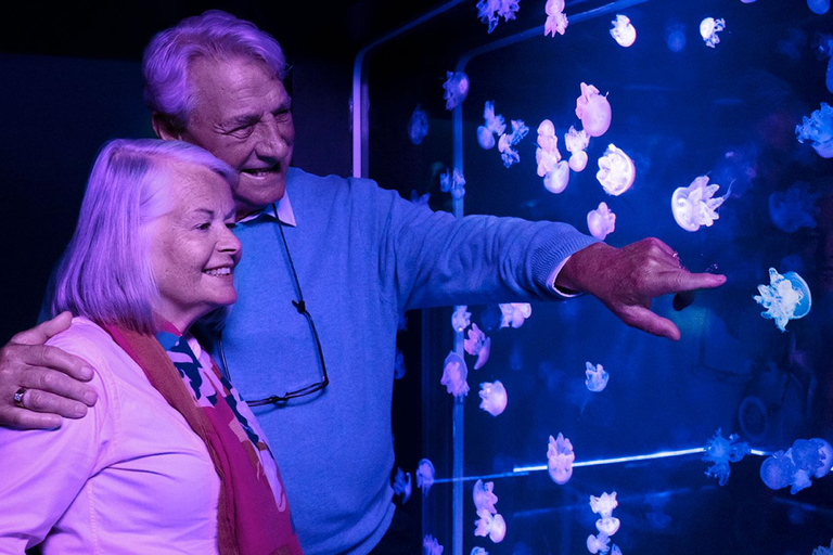 Grapevine: SEA LIFE Grapevine Aquarium General Admission Grapevine: SEA LIFE Grapevine Aquarium General Admission (T)