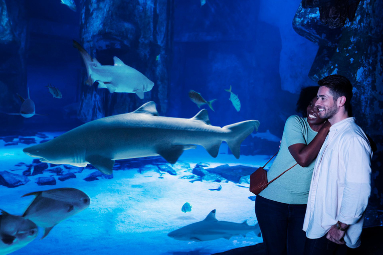 Grapevine: SEA LIFE Grapevine Aquarium General Admission Grapevine: SEA LIFE Grapevine Aquarium General Admission (T)