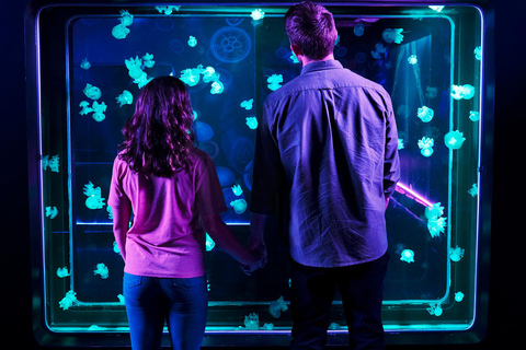 Grapevine: SEA LIFE Grapevine Aquarium General Admission Grapevine: SEA LIFE Grapevine Aquarium General Admission (T)