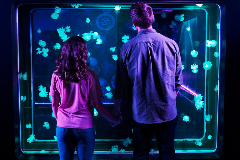 Grapevine: SEA LIFE Grapevine Aquarium General Admission Grapevine: SEA LIFE Grapevine Aquarium General Admission (T)