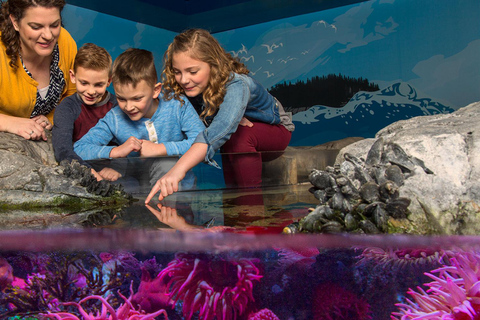 Grapevine: SEA LIFE Grapevine Aquarium General Admission Grapevine: SEA LIFE Grapevine Aquarium General Admission (T)