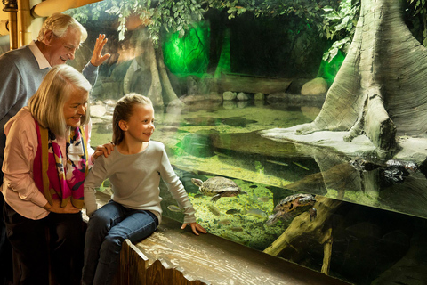 Grapevine: SEA LIFE Grapevine Aquarium General Admission Grapevine: SEA LIFE Grapevine Aquarium General Admission (T)