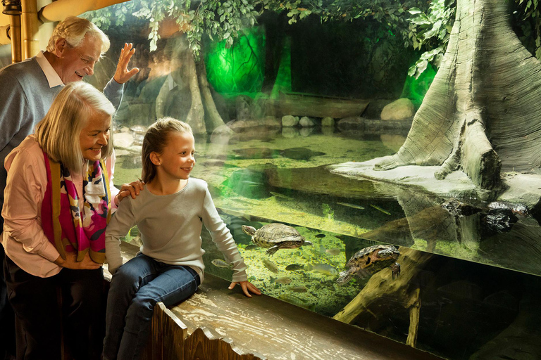 Grapevine: SEA LIFE Grapevine Aquarium General Admission Grapevine: SEA LIFE Grapevine Aquarium General Admission (T)