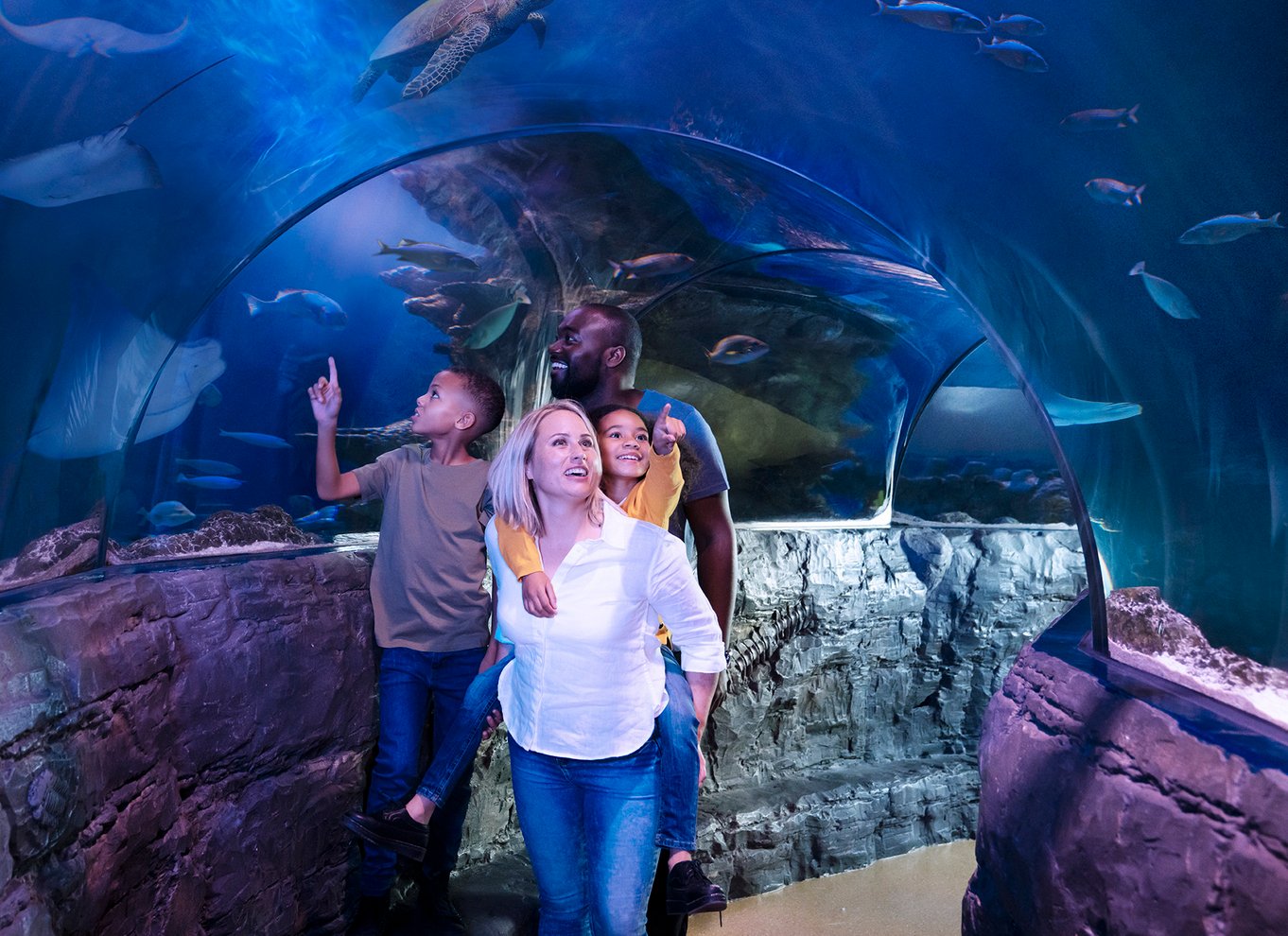 Grapevine: SEA LIFE Grapevine Aquarium General Admission