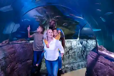 Admissão Geral do SEA LIFE Grapevine Aquarium