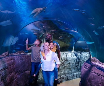 Admissão Geral do SEA LIFE Grapevine Aquarium