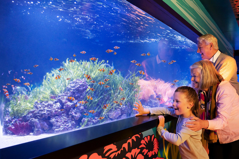 Grapevine: SEA LIFE Grapevine Aquarium General Admission Grapevine: SEA LIFE Grapevine Aquarium General Admission (T)