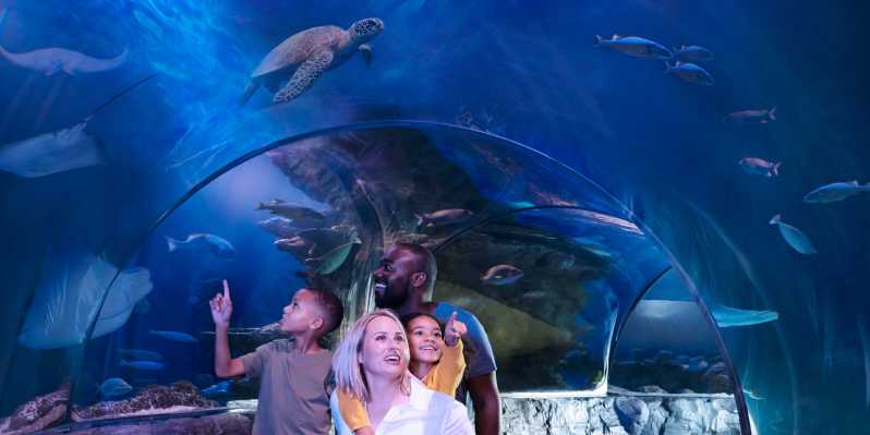 Kansas City : entrée générale à l'aquarium SEA LIFE de Kansas City