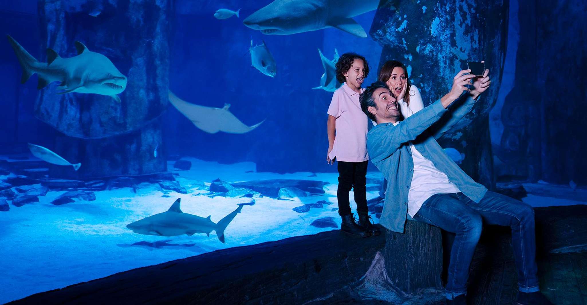 Kansas City, Sea Life Kansas City Acquario Ammissione generale - Housity