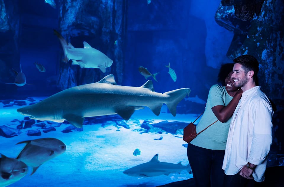 Kansas City SEA LIFE Kansas City Aquarium General Admission GetYourGuide