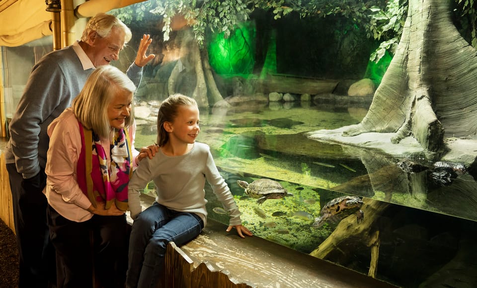 Kansas City SEA LIFE Kansas City Aquarium General Admission GetYourGuide