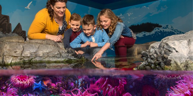 Visit SEA LIFE Michigan Aquarium General Admission in White Lake
