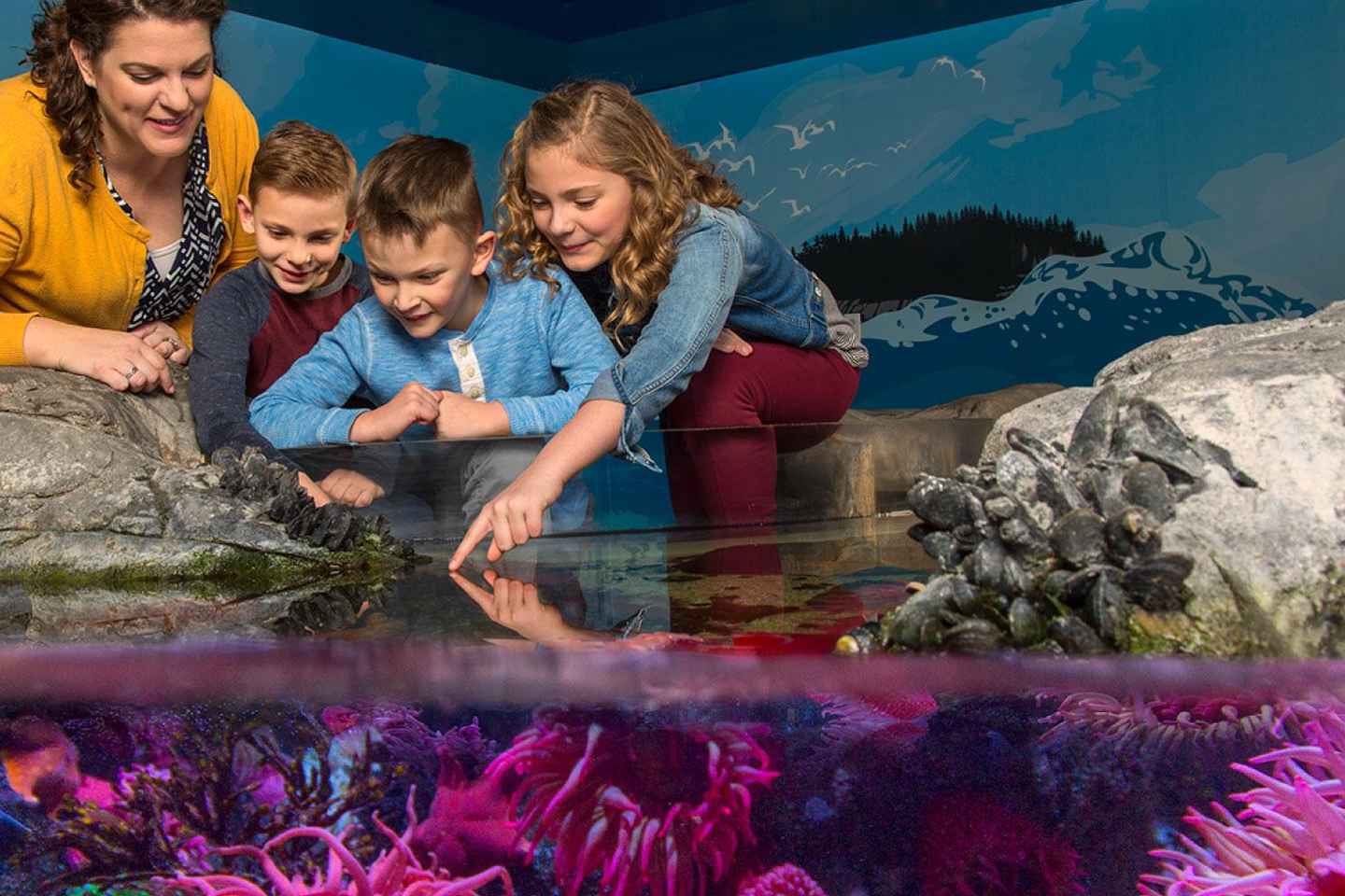 indoor things to do in michigan | heal your inner child at sea life michigan aquarium, auburn hills